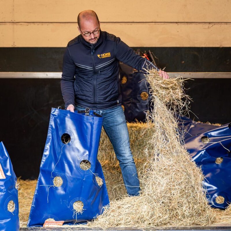 Horse Originals - DaKo Fotografie (Webformaat) 13