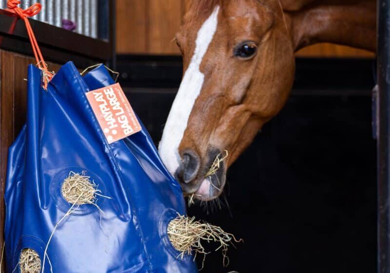 Horse Originals - Less Dust Inhalation Horse Originals - Less Dust Inhalation