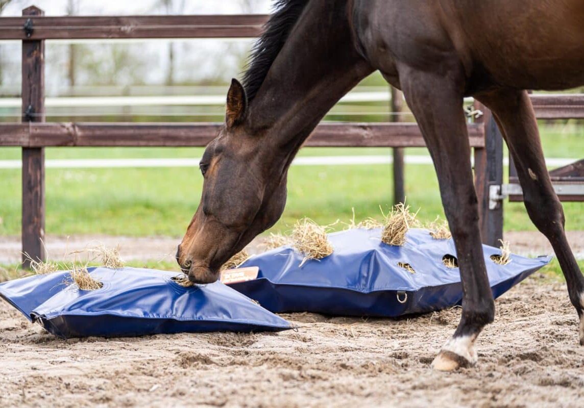 Horse Originals - Natural Eating Posture Horse Originals - Natural Eating Posture