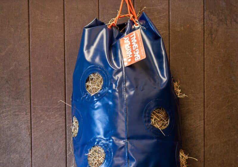 Horse Originals - No Wastage Of Hay Horse Originals - No Wastage Of Hay